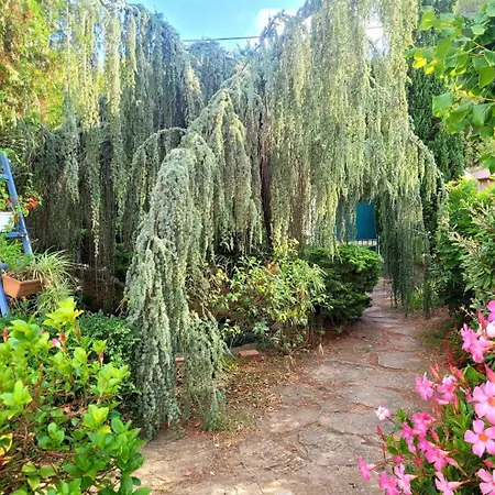 Feriehus A 400 M Et Piscine *