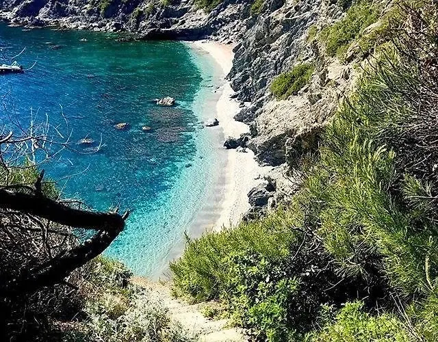A 400 M Et Piscine Six-Fours-les-Plages
